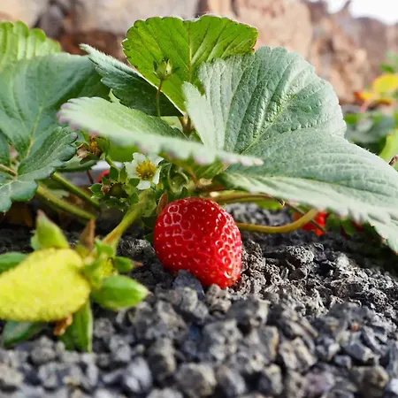 Casa Jenabe Βίλα