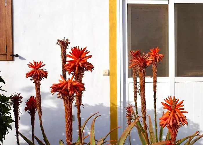 Casa Jenabe 빌라 *