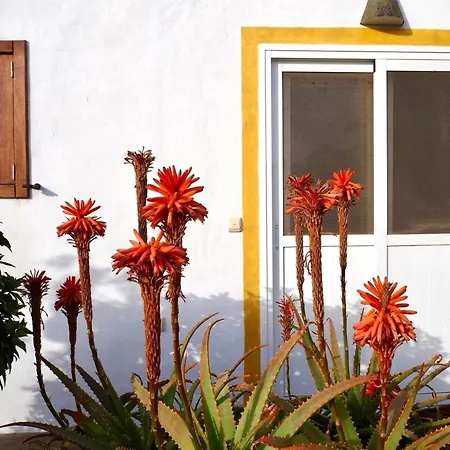 Casa Jenabe